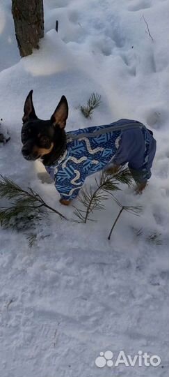 Вязка