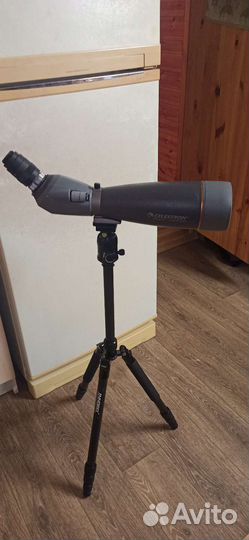Зрительная труба Celestron Regal 100F-ED