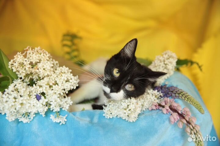 Люсенька подросток 6 месяцев