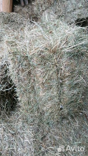 Сено в кипах очень хорошее качество