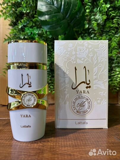 Духи Yara Lattafa 100ml оптом оригинальные женские