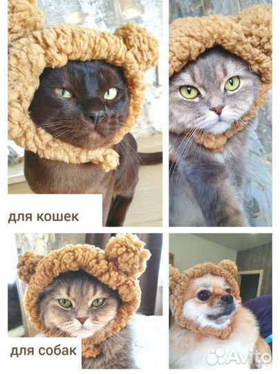 Шапка для кошек и собак