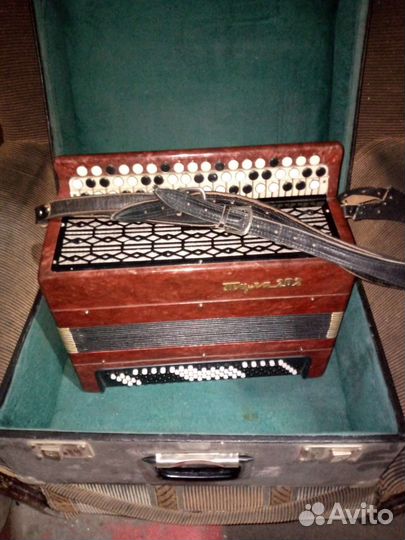 Баян Тула 202