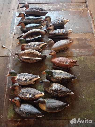 Чучела уток для охоты