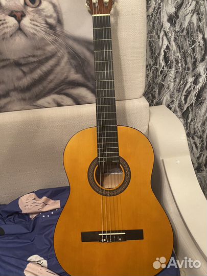 Акустическая гитара fabio