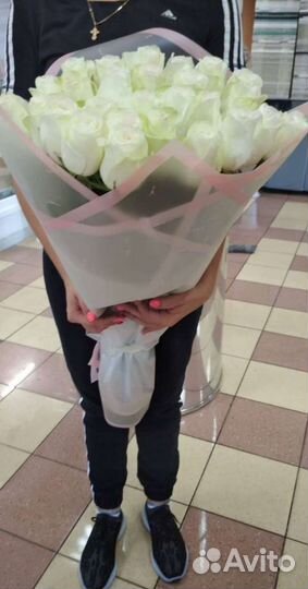 Розы 101, 51, 31, 25 шт. Доставка