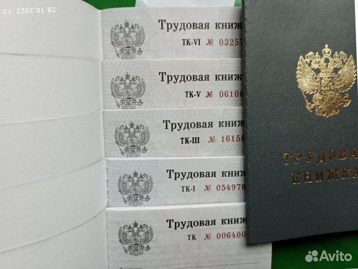 Трудовые книжки, Разные серии и годы выпуска