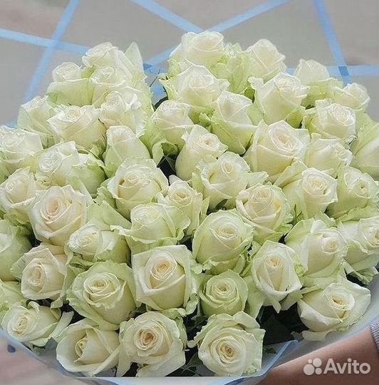 Высокие Розы с Доставкой