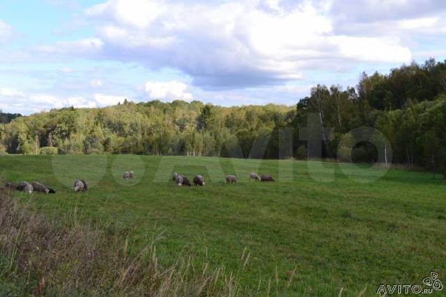 Участок 4 га (СНТ, ДНП)