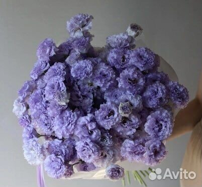 Эустомы Лизиантус Махровый Букеты Цветы Доставка