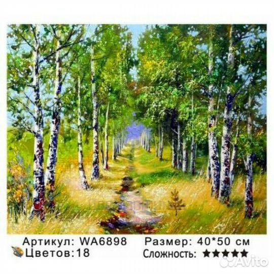 Картина по номерам 40x50 Тропка по березовой