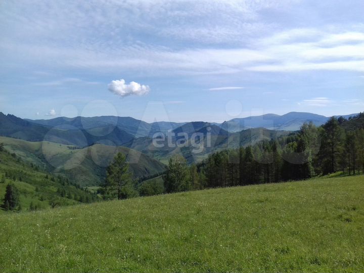 Участок 1,31 га (СНТ, ДНП)