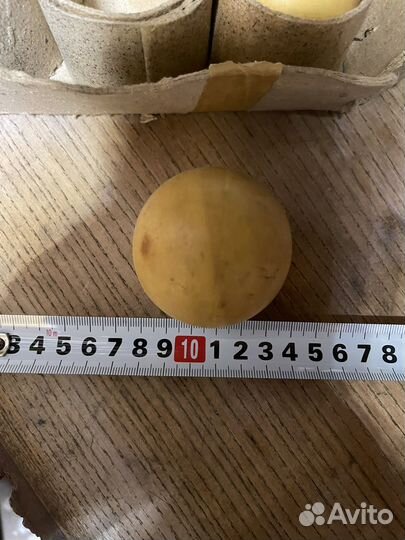 Шары бильярдные СССР