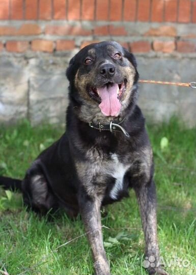 Последняя просьба дедушки