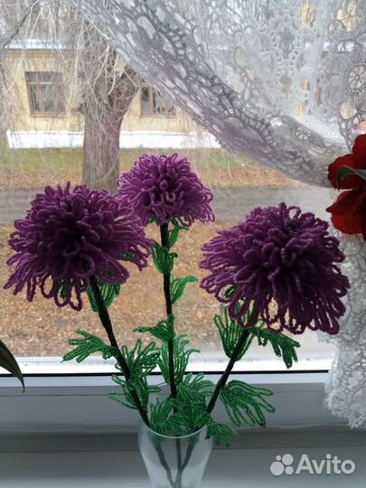 Хризантемы