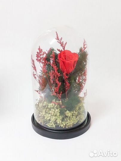 Вечная роза в колбе