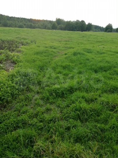 Участок 59 сот. (ИЖС)