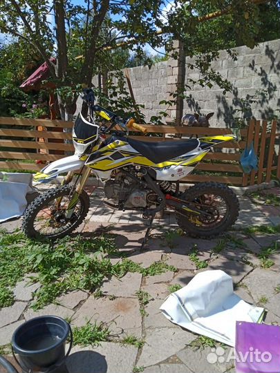 Kayo evolution yx150