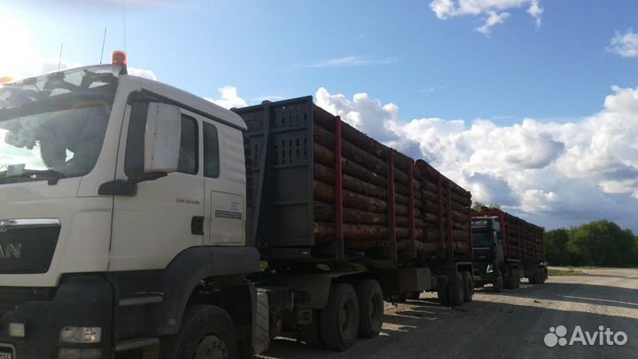 Водитель лесовоза