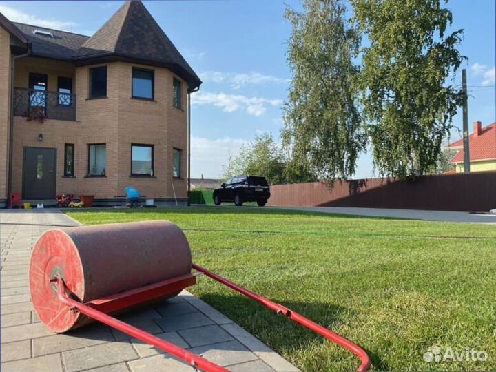 Рулонный газон, озеленение территории