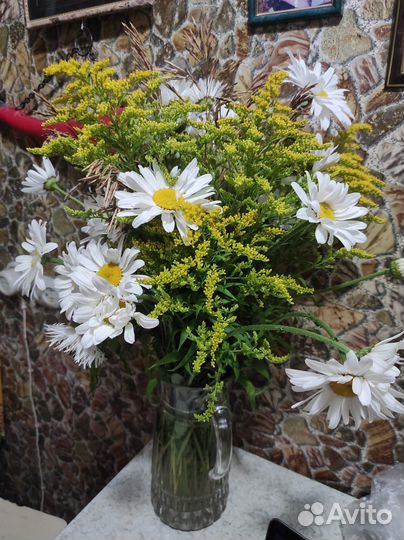 Букет ромашек крупных много