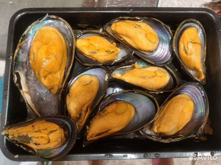 Крабы, раки, морепродукты