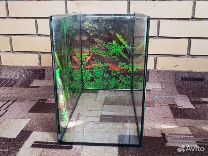 Аквариум