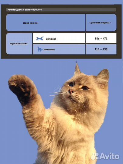 Консервы ProBalance Sterilized 415гр