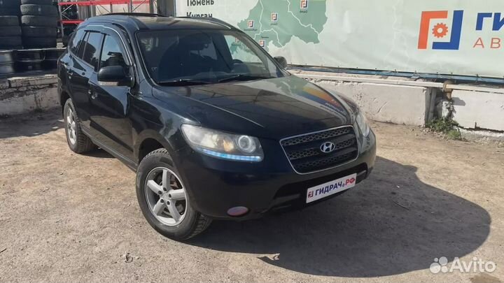 Проводка двери задней левой Hyundai Santa Fe (CM) 91650-2B010