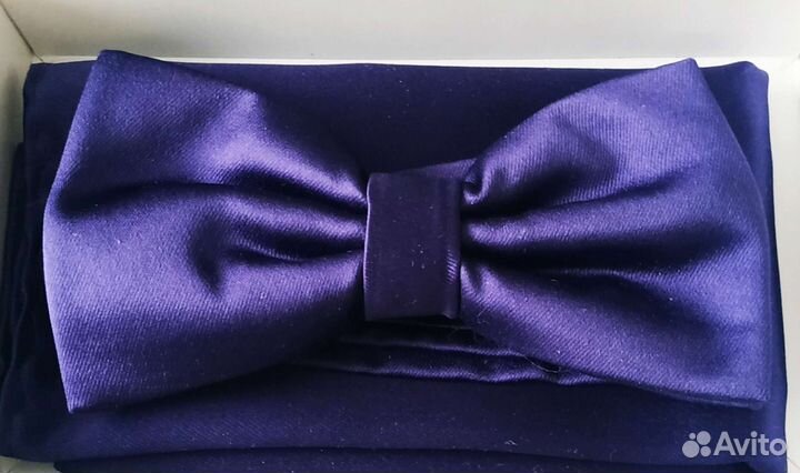 Бабочка с паше