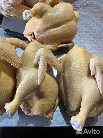Куры бройлеры тушки