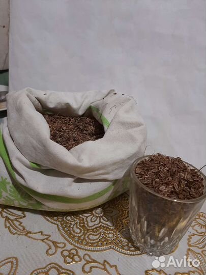 Семена Календулы,укроп