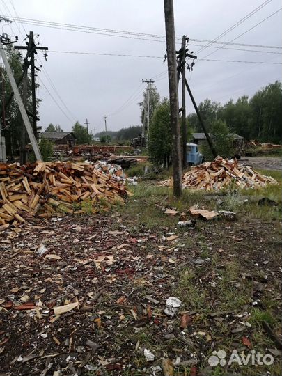 Дрова колотые Береза