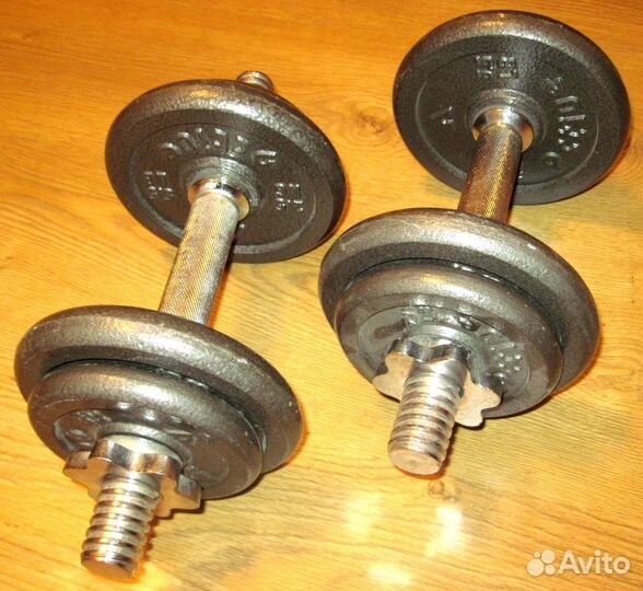 Гантели разборные Torneo и Active 2х10 кг 30 мм