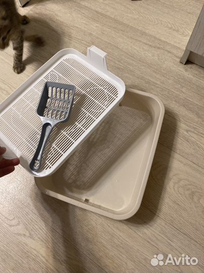 Лоток для котят
