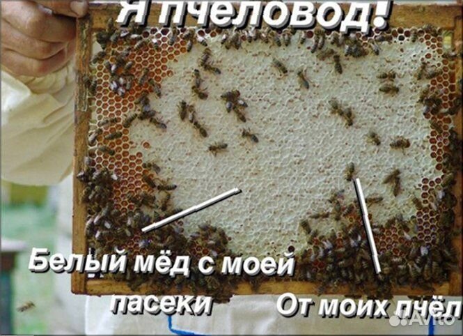 Аккураевый мед