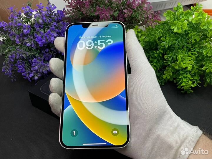 iPhone 12 Pro Max, 256 ГБ