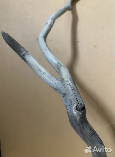 Коряги для террариума