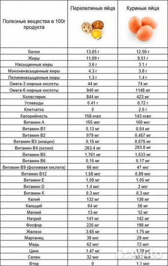 Перепелиные яйца домашние