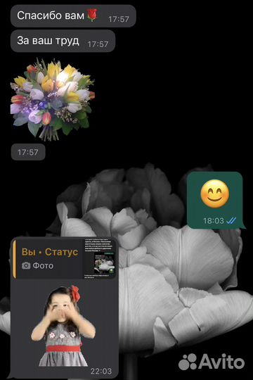 Помощь в одобрении ипотеки