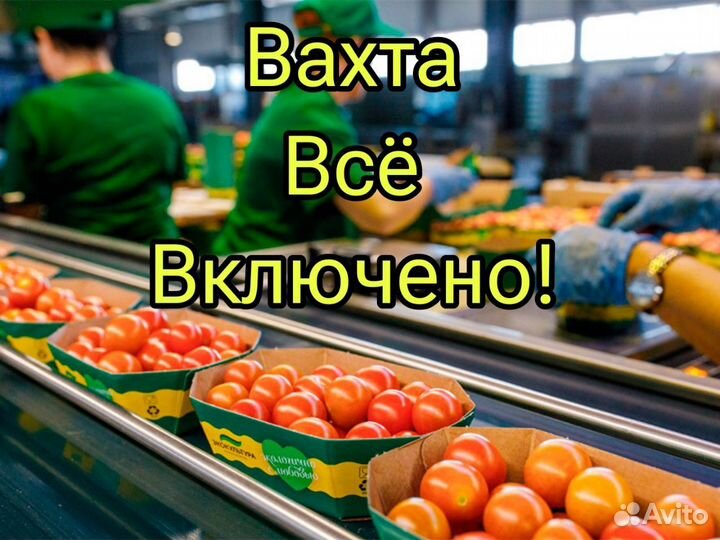 Упаковщик вахта 15/30/45 Все включено Волгоград