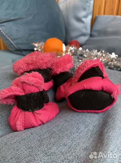 Обувь для маленьких собак