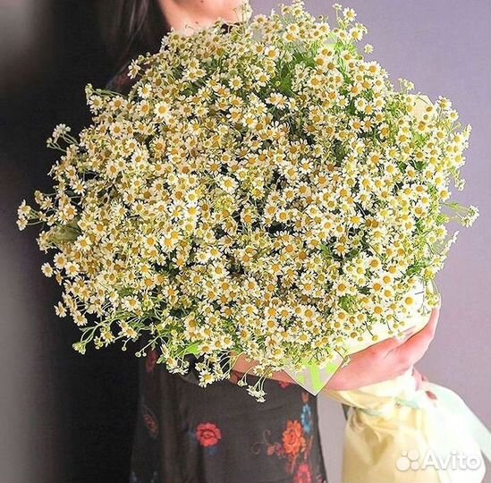 Ромашки букет