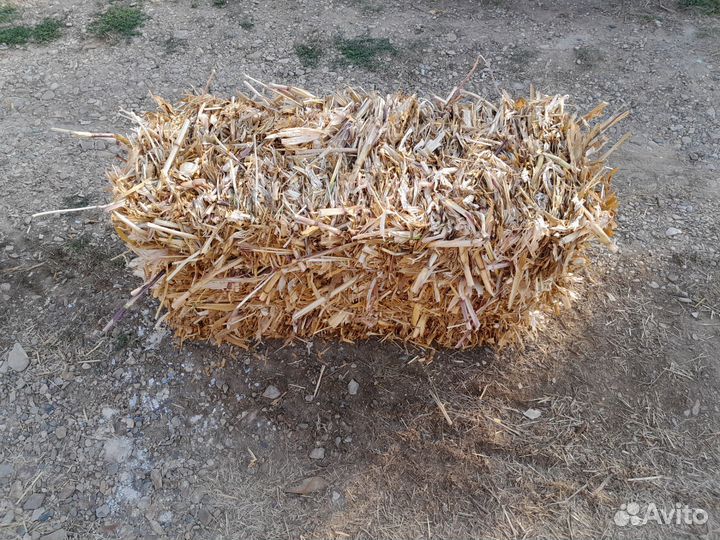 Кукурузная ботва пресованная