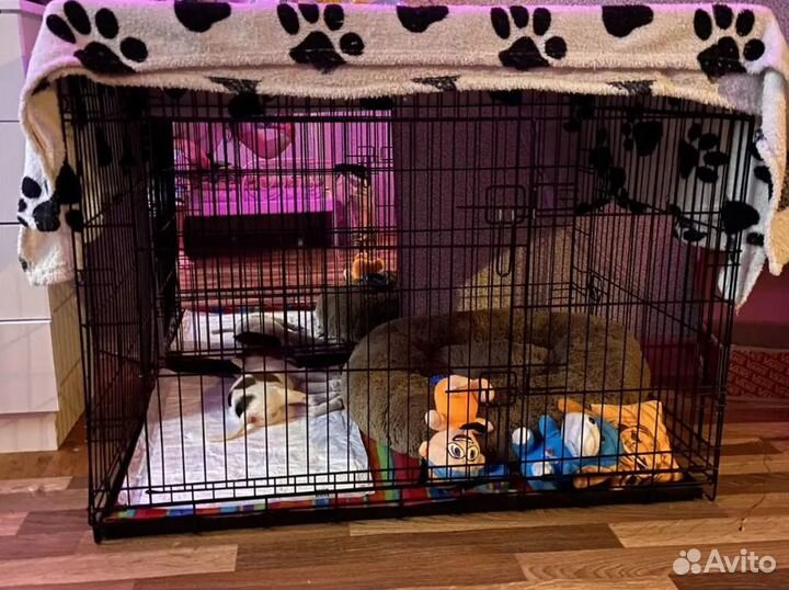 Клетка для собак усиленная №5