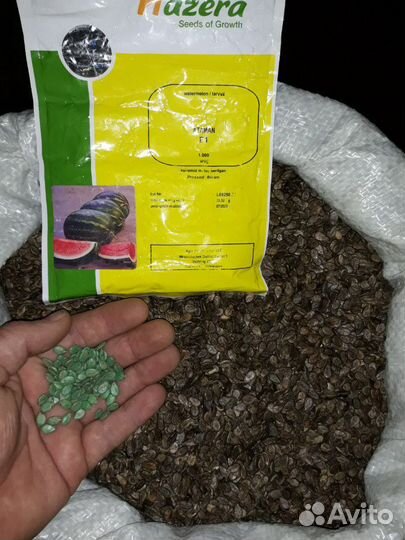 Семена арбуза 