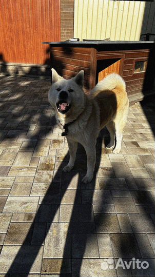 Тротуарная плитка ГОСТ