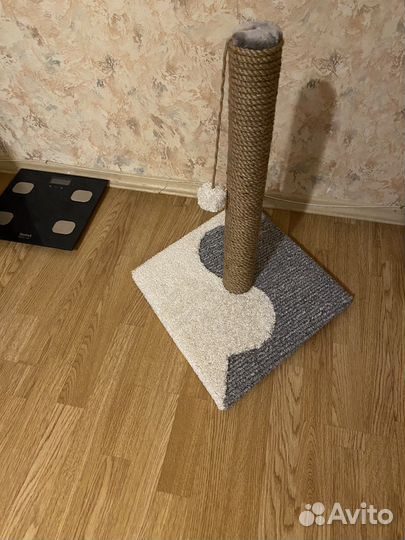 Когтеточка