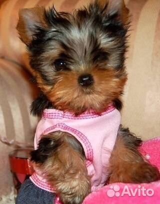 Детки антидепрессантики