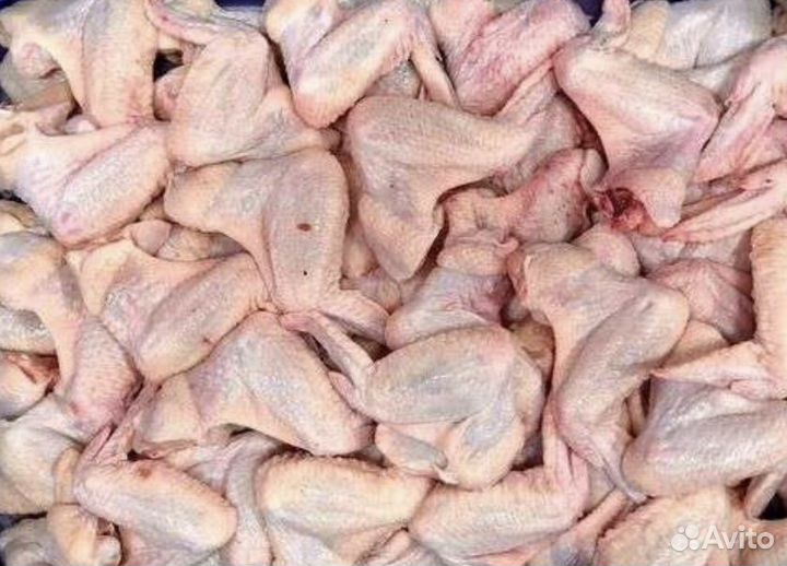 Голень и крялья куриные